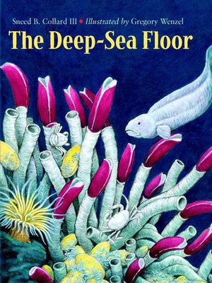 cover image of The Deep-Sea Floor